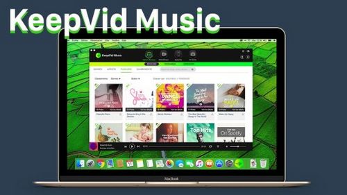 KeepVid Music Pro 8.3.0.4 Crack For Windows Free Music Download