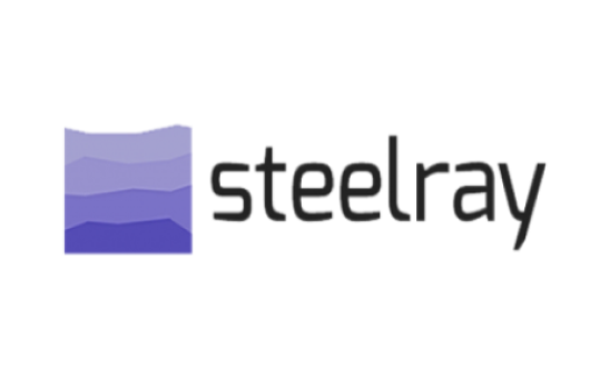 Steelray Project Analyzer 7.12 Crack + Activation Key [Latest] Download project